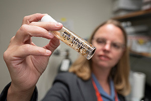 Female resarcher holding up a vile with a soil sample