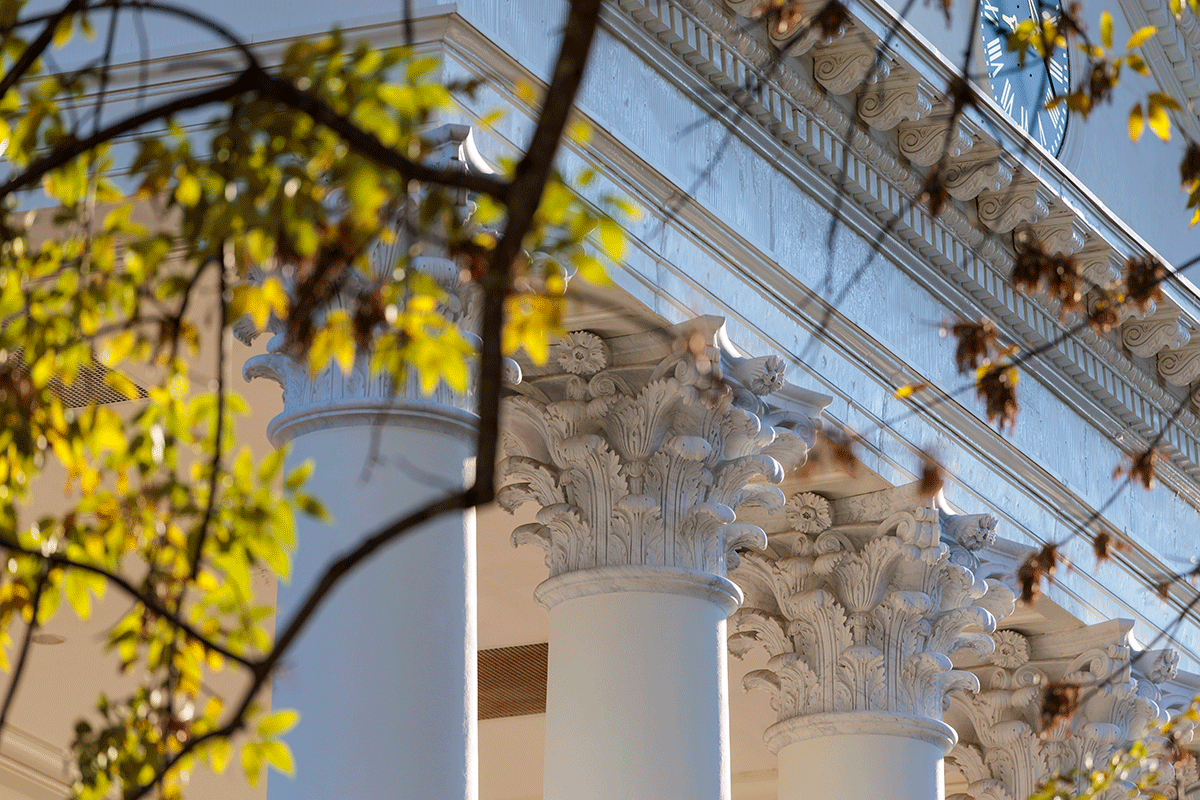 Ornate columns of a building are enveloped in vibrant green leaves, creating a natural, lush appearance.  